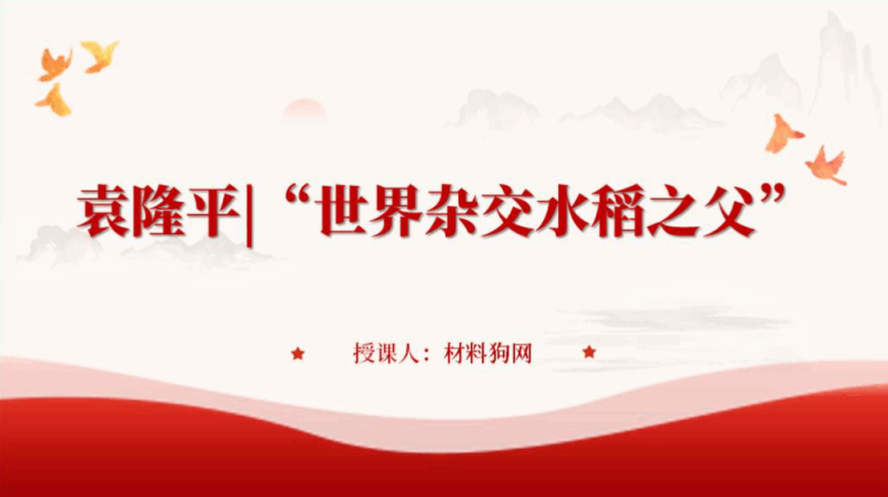 学习杂交水稻之父袁隆平事迹精神ppt课件(附文字稿)_篇篇网