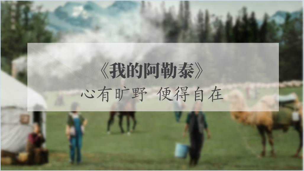 《我的阿勒泰》电视剧赏析ppt课件_篇篇网