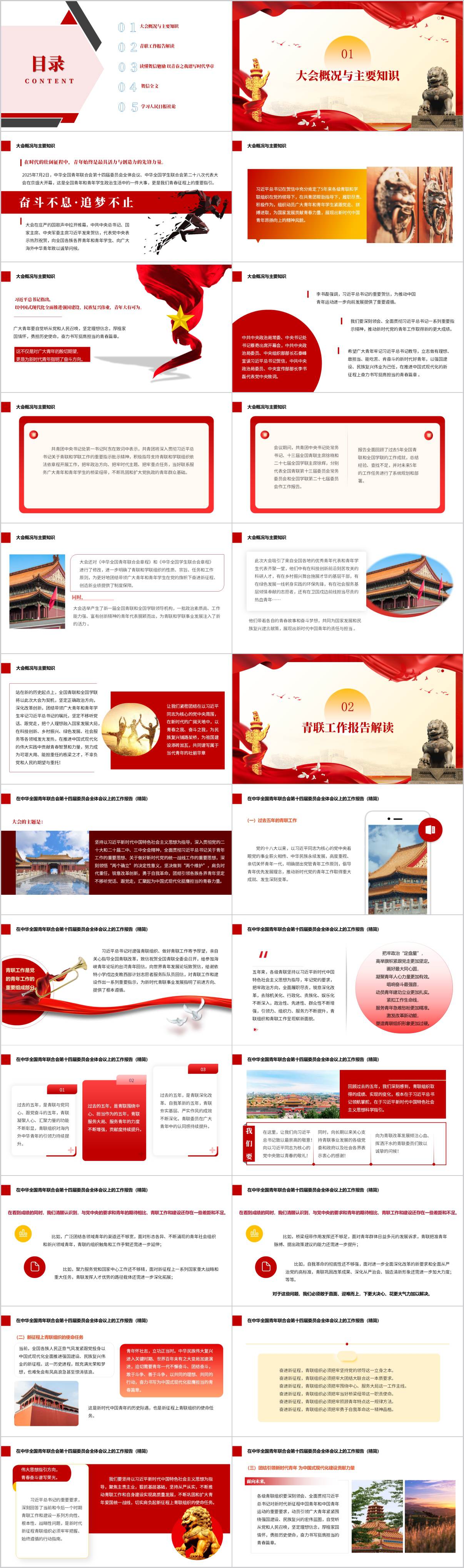 学习全国青联十四届全委会